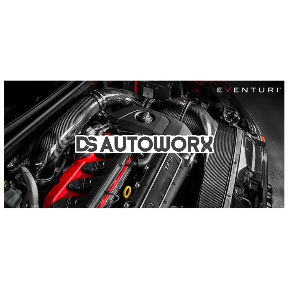 Eventuri Carbon Fibre Intake (Gen 1) Audi 8V RS3